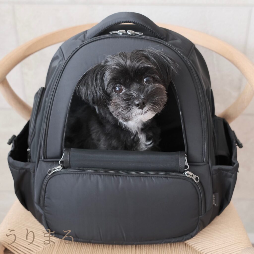 SSOOOK ソオオク 韓国 リュック キャリー バッグ スリング 犬用 ペット用