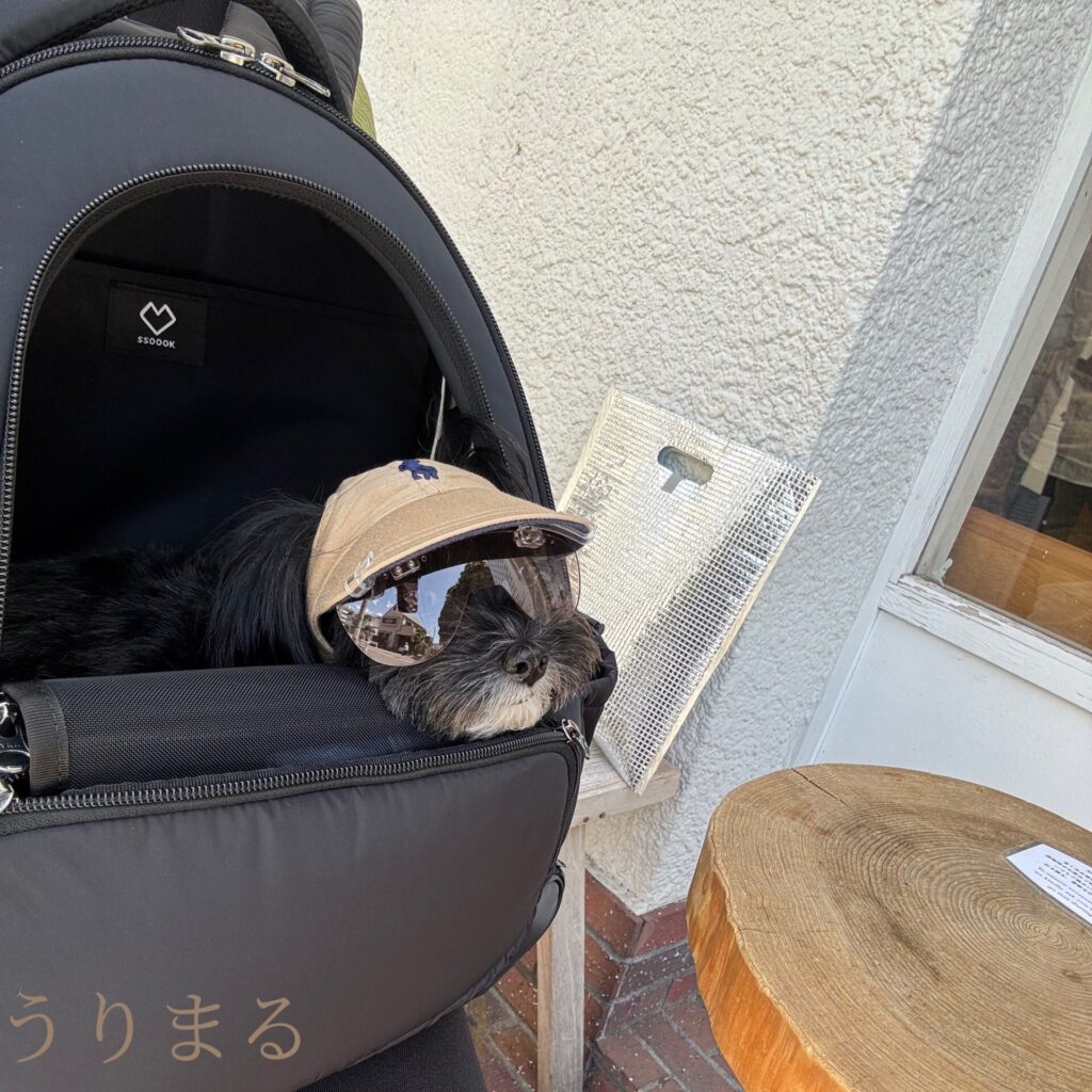 SSOOOK ソオオク 韓国 リュック キャリー バッグ スリング 犬用 ペット用
