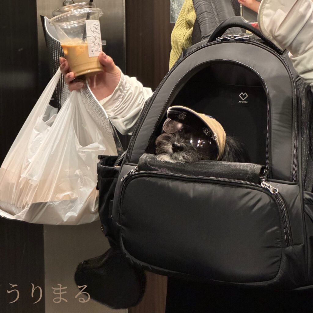 SSOOOK ソオオク 韓国 リュック キャリー バッグ スリング 犬用 ペット用