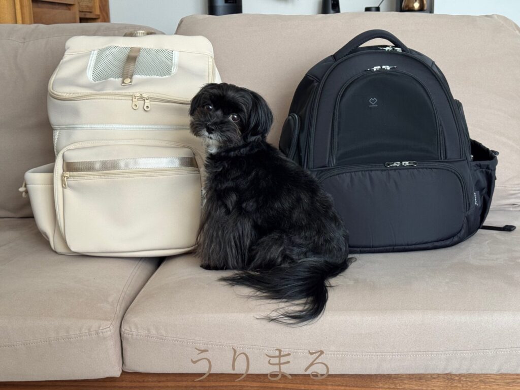 SSOOOK ソオオク 韓国 リュック キャリー バッグ スリング 犬用 ペット用 CITY DOG シティードッグ 比較