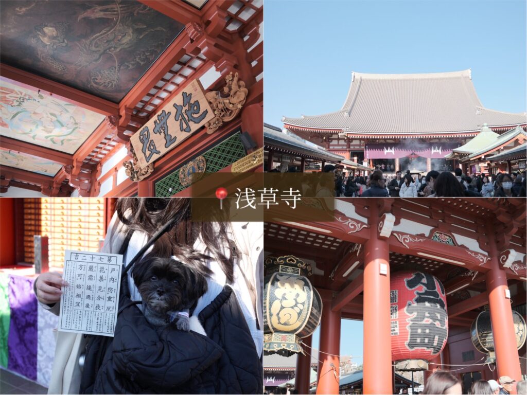 浅草 東京 観光 旅行 犬 散歩 ペット 浅草寺