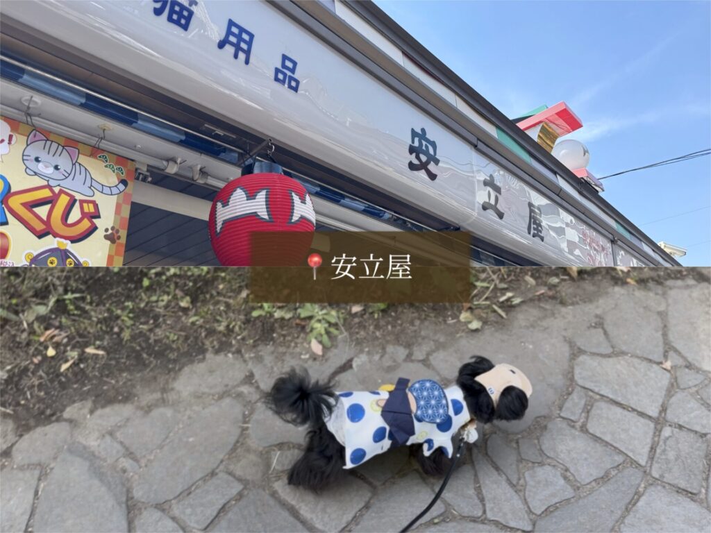 浅草 東京 観光 旅行 犬 散歩 ペット 安立屋