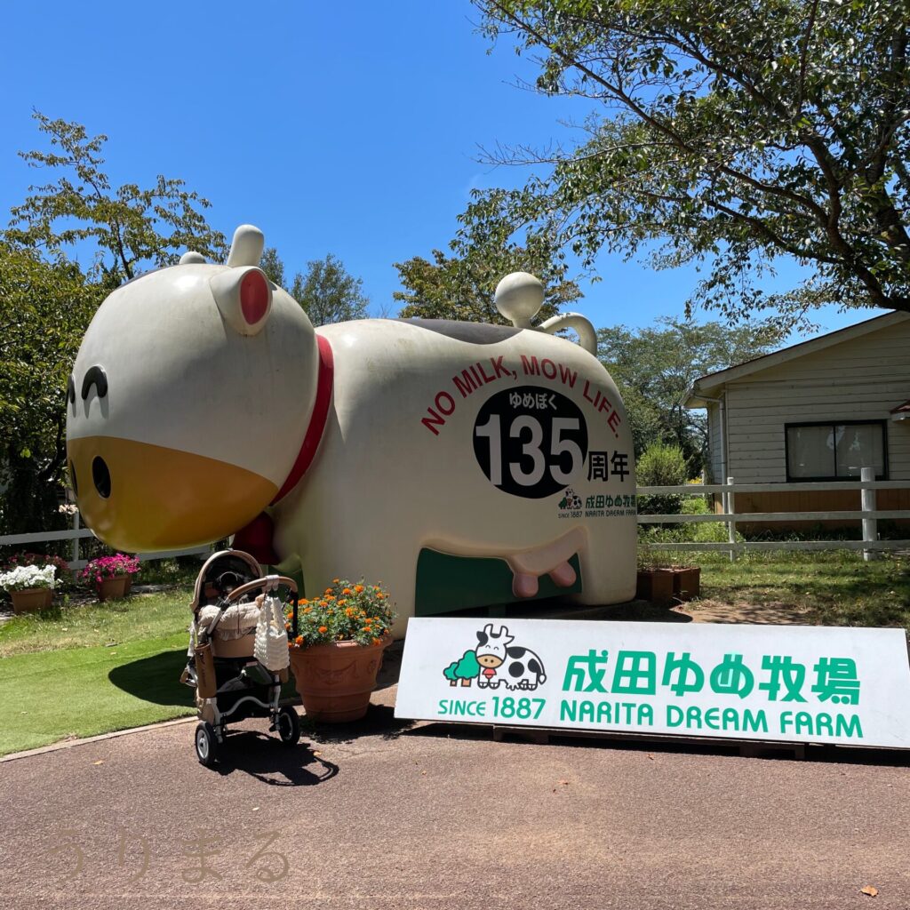 成田ゆめ牧場 犬連れ 旅行 日帰り ひまわり 向日葵 ヒマワリ 畑
