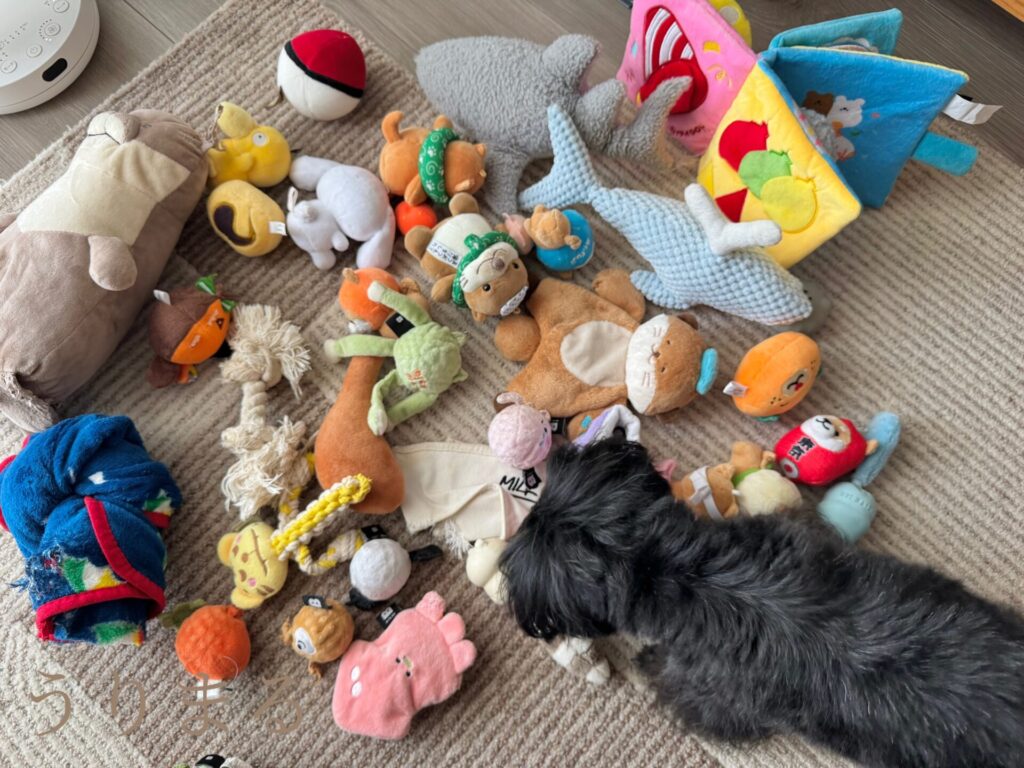 天日干し ぬいぐるみ 犬 ペットグッズ