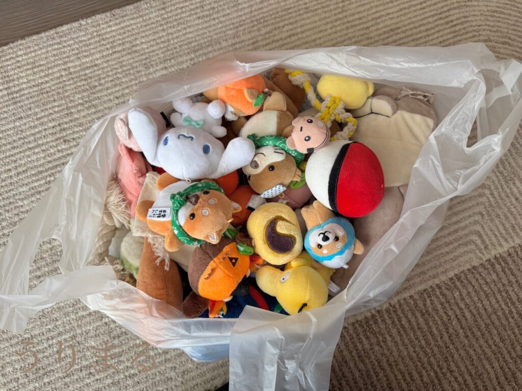 天日干し ぬいぐるみ 犬 ペットグッズ