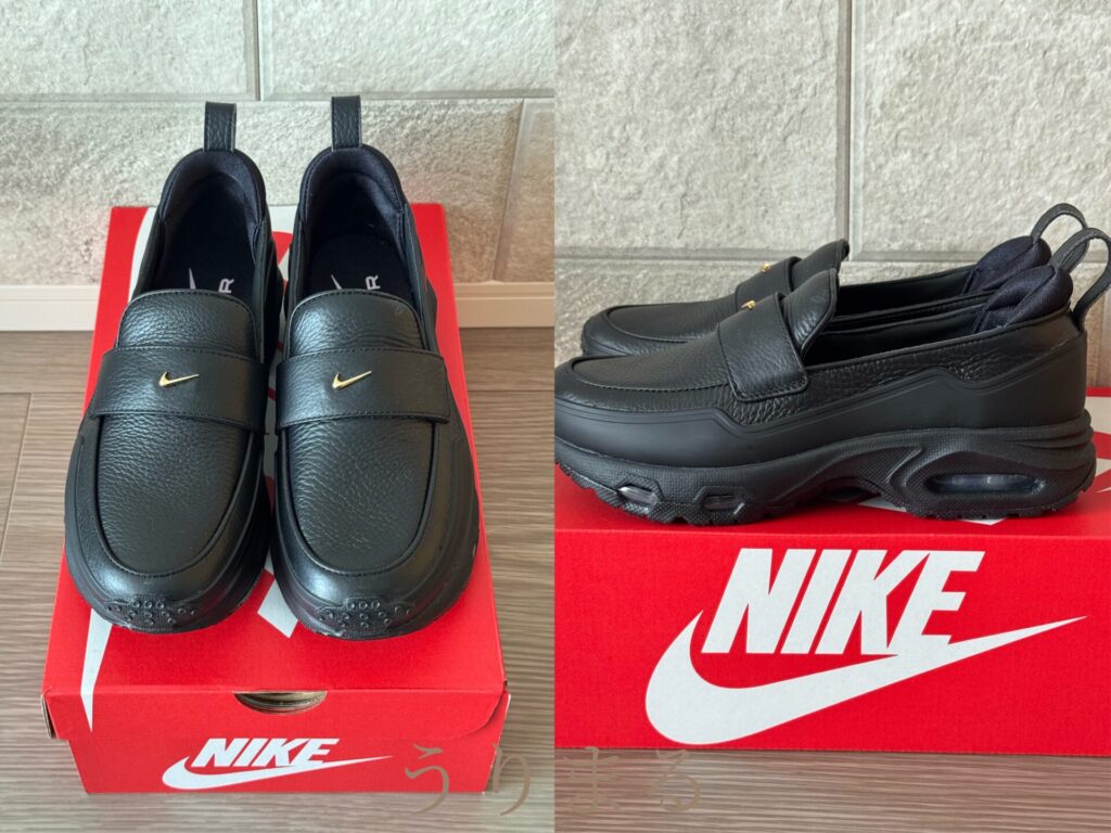 ナイキ エア マックス フェノメナ Nike Air Max Phenomena 購入品 レビュー 商品紹介 サイズ感