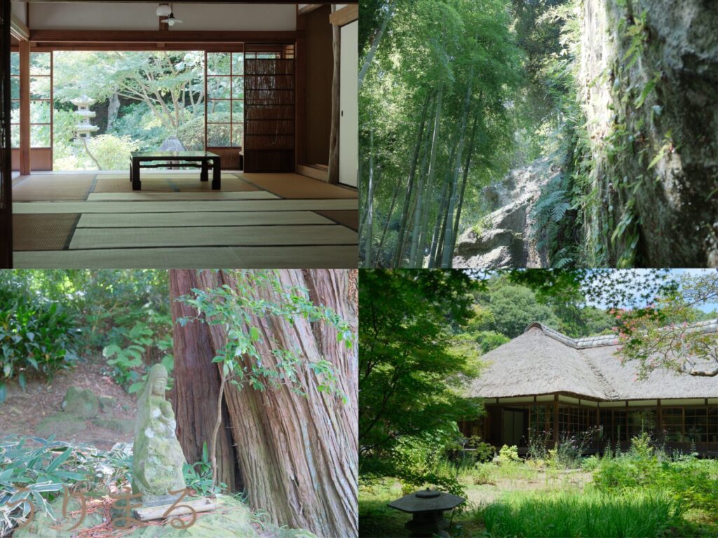 鎌倉 北鎌倉 犬連れ 旅行 お出かけ 日帰り 寺 浄智寺