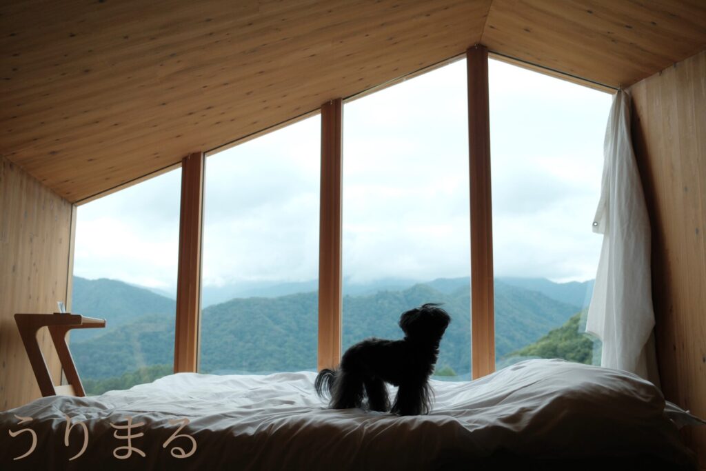 Earthboat MinakamiFujiwara アースボート みなかみ藤原 群馬 アウトドアホテル グランピング 紹介 レビュー 犬 旅行